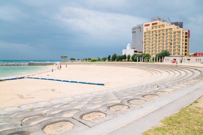 🌳 와카사 해변공원(와카사카이힌코엔)